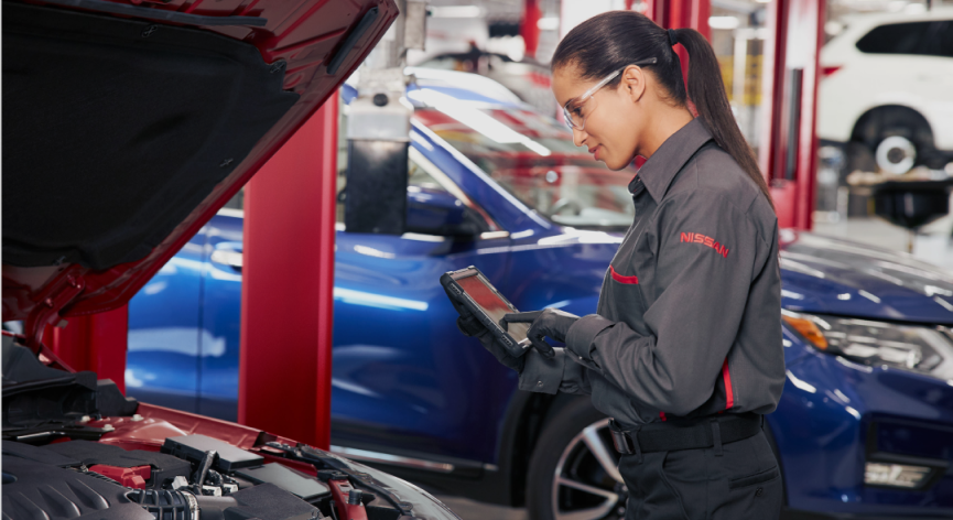Complimentary Multi-Point Inspection