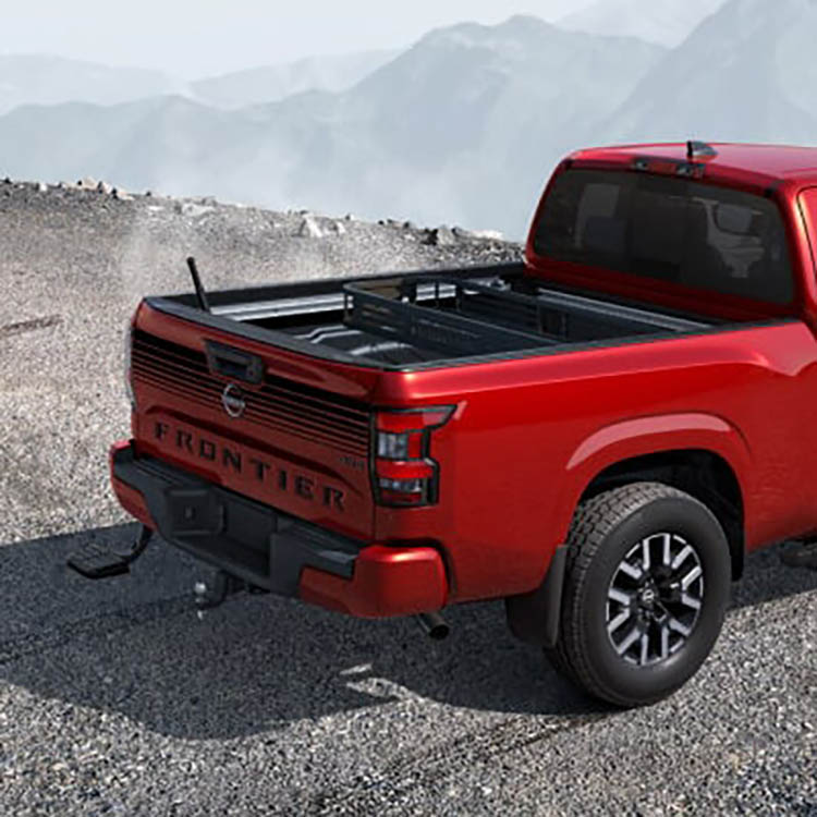 Black Tailgate Graphic