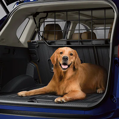 Retractable Pet Divider