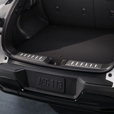 Illuminated Cargo Scuff Plates