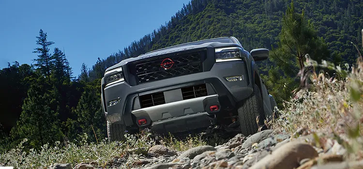 Frontier on trail
