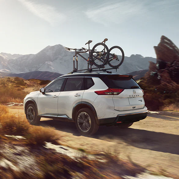 All-Wheel Drive Adventure