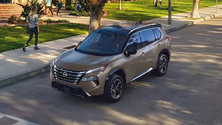 Rogue on neighborhood street