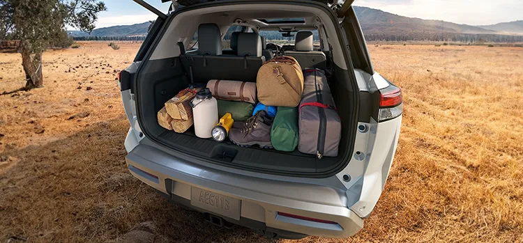 Pathfinder cargo