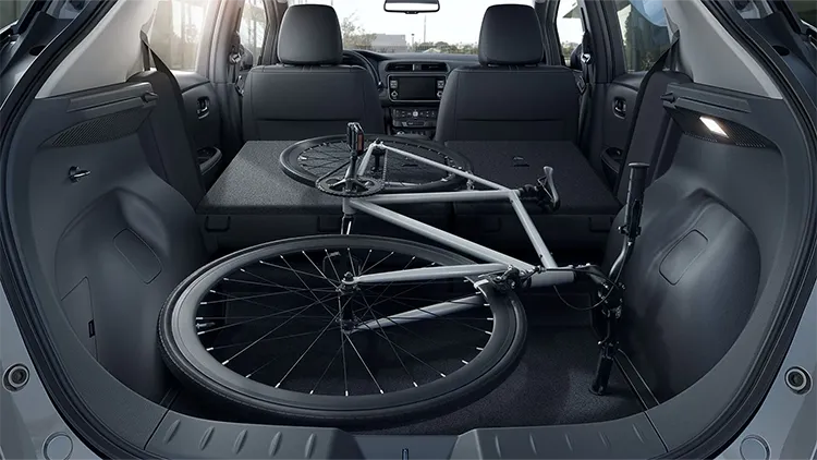 Bicycle cargo
