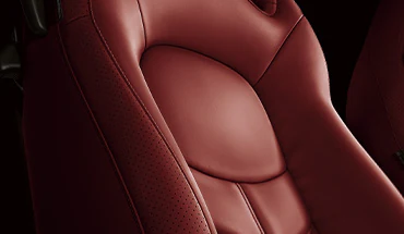 Semi-Aniline Leather Appointments