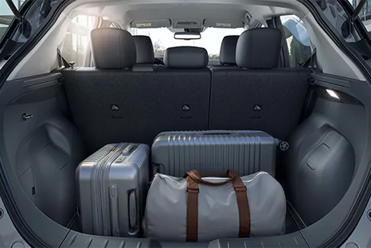All Seats Up