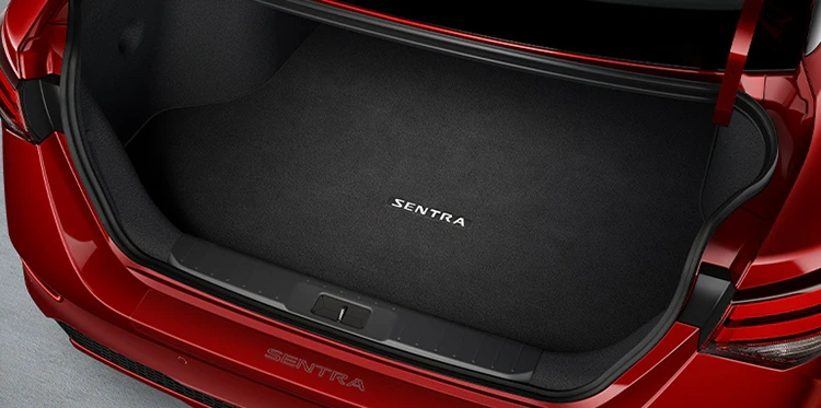 Spacious Trunk