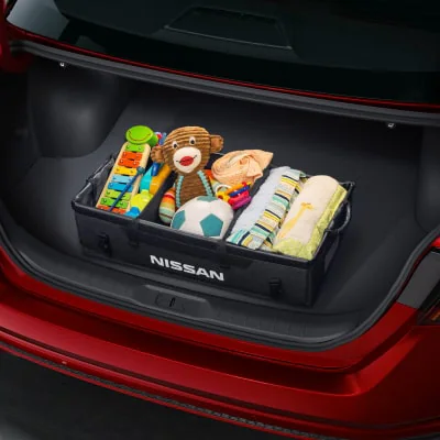 Removable Tote Cargo Organizer