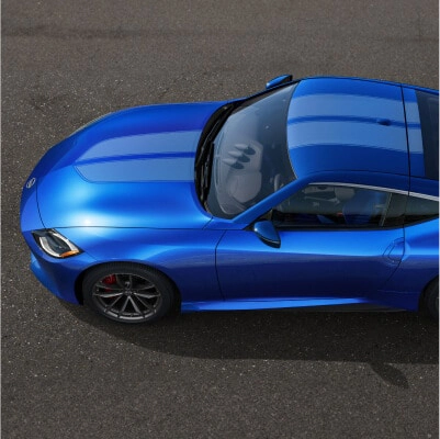 Dual Racing Stripe