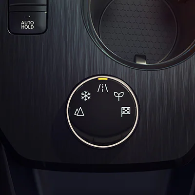5 Drive Modes
