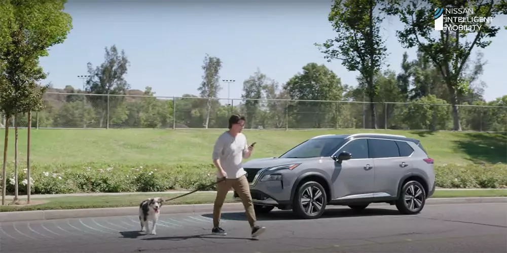 Automatic Emergency Braking With Pedestrian Detection
